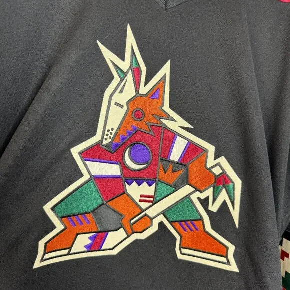 Vintage PHOENIX COYOTES Hockey Jersey CCM NHL Jersey Arizona Sz L Sz L - Picture 3 of 13